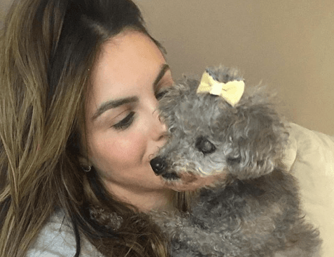 Sthefany Brito lamenta falecimento de cadela