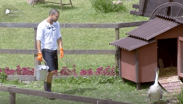 A Fazenda: Caíque sente pavor ao alimentar os gansos: “Jesus me abana!”