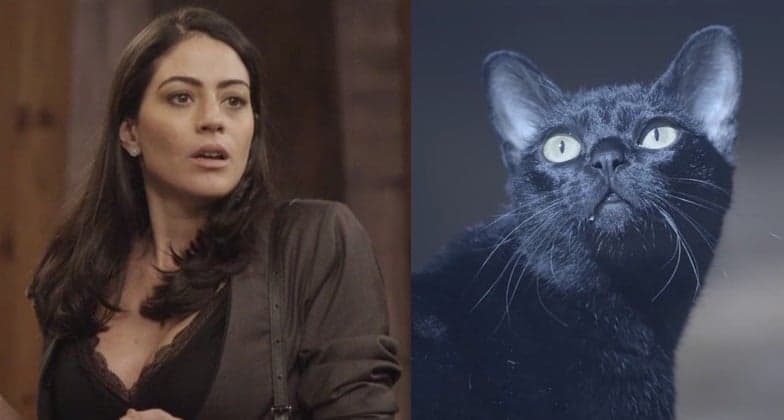 Globo surpreende e gato León aparece na novela das 19h O Tempo Não Para