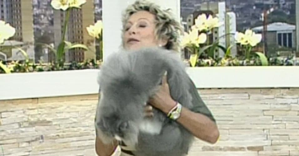 Gato pula do colo de Ana Maria Braga no Mais Você, da Globo (Imagem: Reprodução) Gato pula do colo de Ana Maria Braga no Mais Você, da Globo (Imagem: Reprodução)