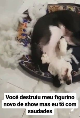 Imagem do post Imagem do post
