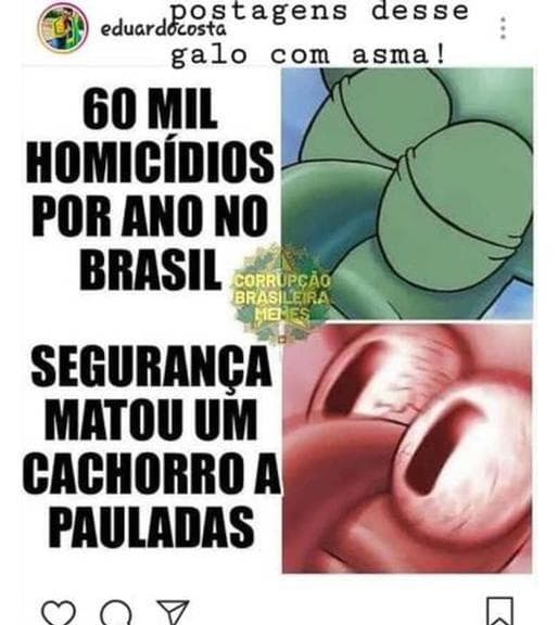 Imagem do post Imagem do post