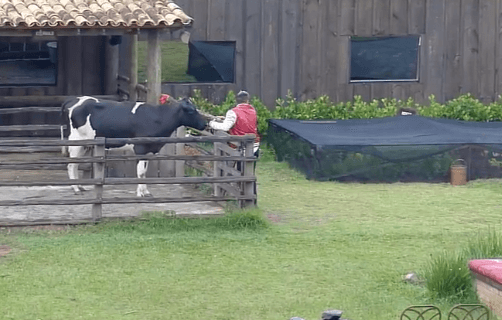 A Fazenda: Acontecimento emocionante reúne peões: "Que pequenininhos"