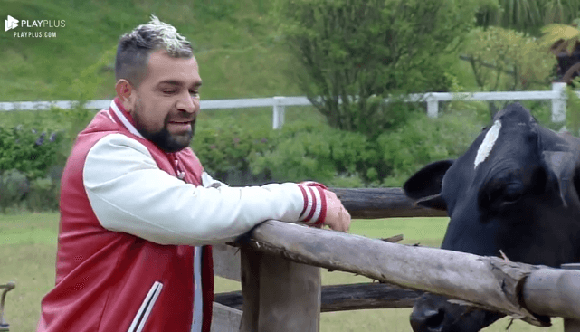A Fazenda: Evandro Santo troca ideia com vaca e leva arroto na cara: 'Pegou intimidade'