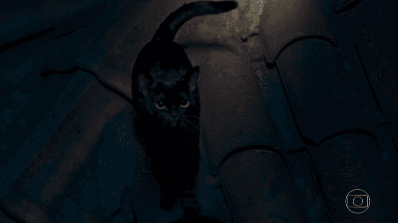 O gato León em O Sétimo Guardião (Foto: Reprodução/Globo)