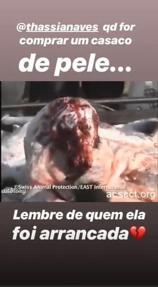 Imagem do post Imagem do post