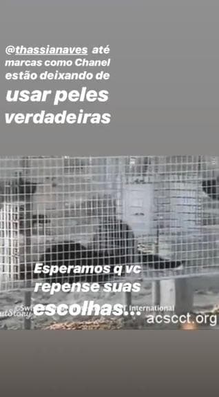 Imagem do post Imagem do post
