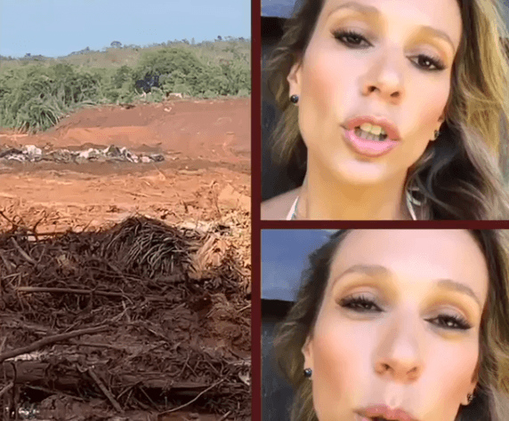 Luísa Mell se revolta e toma atitude para ajudar Brumadinho