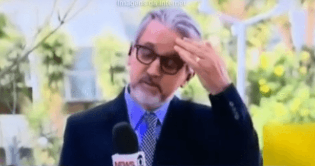 Formiga invade programa ao vivo, repórter tenta se livrar e se atrapalha todo