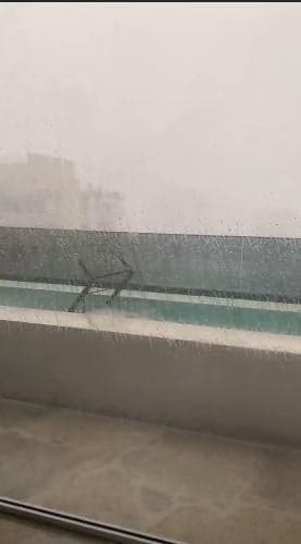 Casa de Sabrina Sato enfrenta problemas diante de forte chuva em São Paulo