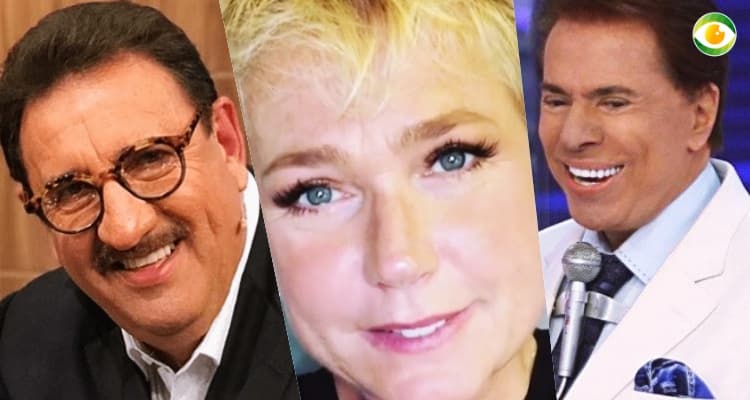Silvio Santos, Xuxa, Ratinho e os famosos que além de milionários na TV ganham fortunas com outras empresas; veja quanto
