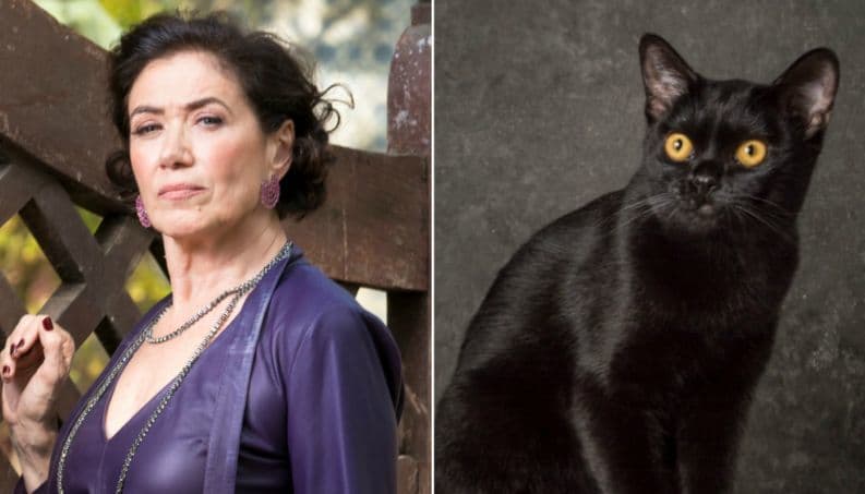O Sétimo Guardião: Valentina persegue Léon, acerta tiro no gato preto e acaba surpreendida com situação