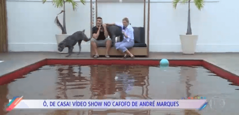 Imagem do post Imagem do post