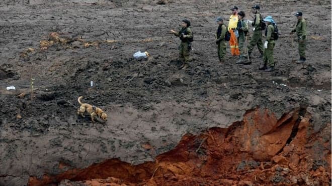 Jornalista famoso é dado como morto em tragédia de Brumadinho e vídeo fake repercute