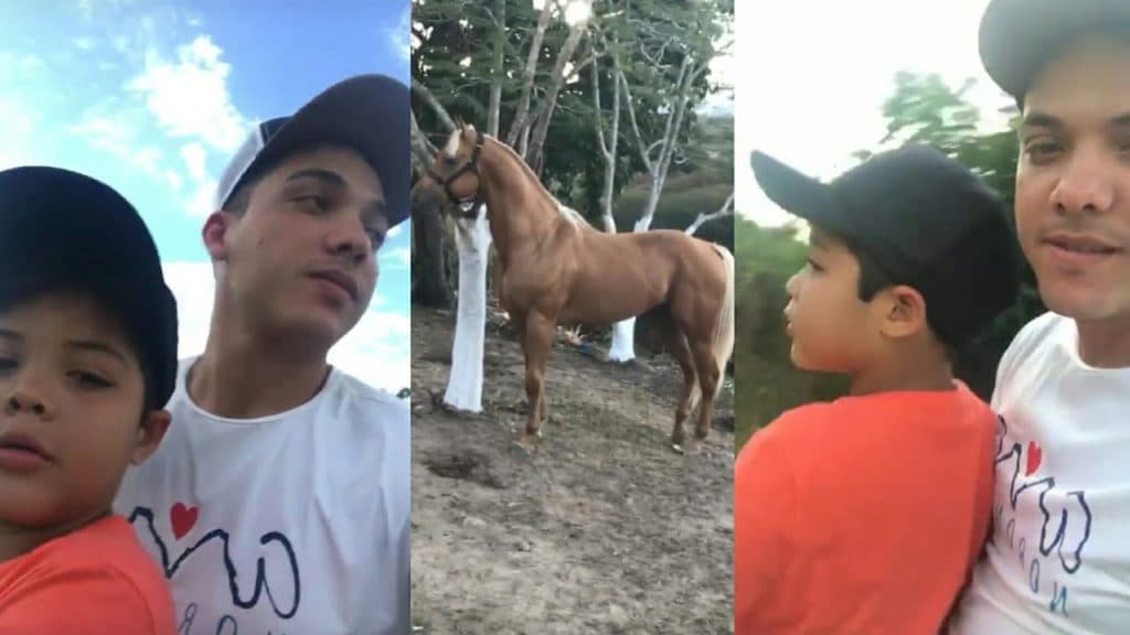 Imagem do post Imagem do post