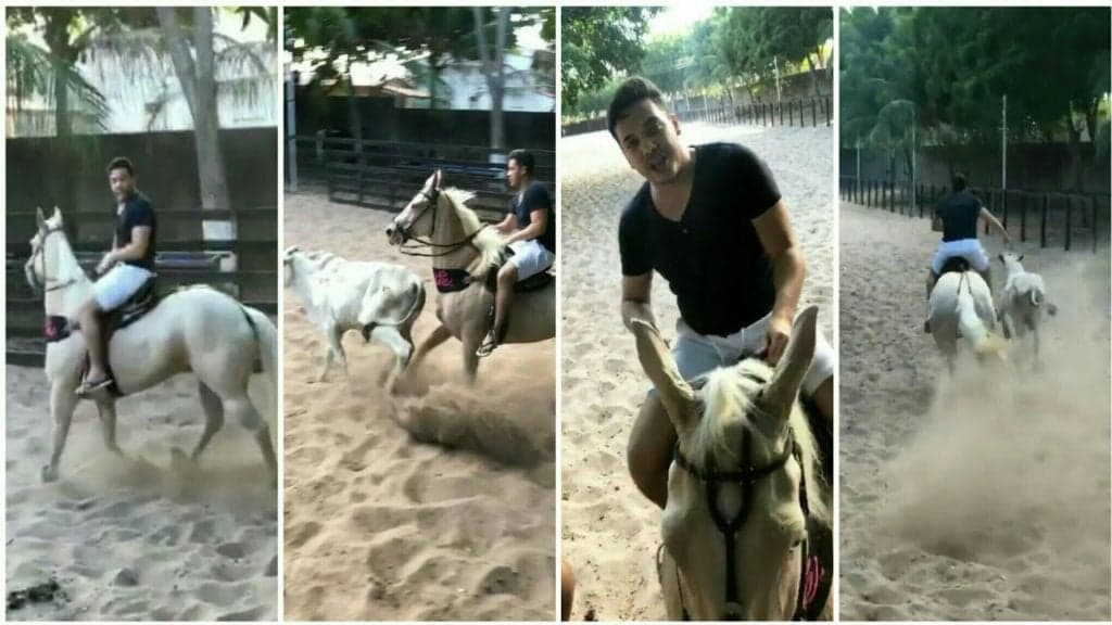 Wesley Safadão explica porque pagou R$ 1 milhão em égua e revela o que fará com ela