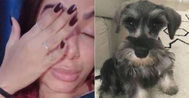 Imagem do post Imagem do post