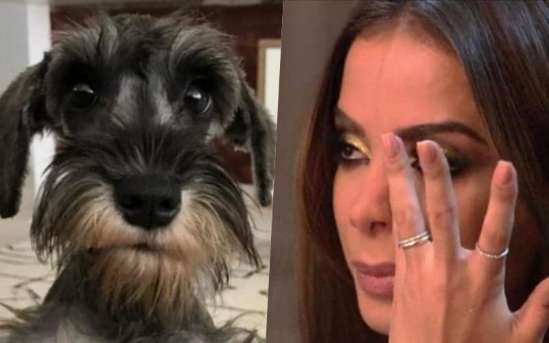 Após morte na família e sumiço preocupante, Anitta reaparece deslumbrante em capa de revista Vogue Brasil junto com Sabrina Sato Foto: Reprodução Após morte na família e sumiço preocupante, Anitta reaparece deslumbrante em capa de revista Vogue Brasil junto com Sabrina Sato Foto: Reprodução