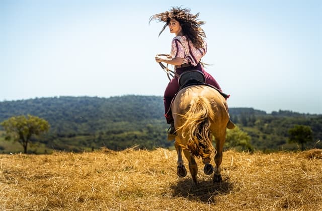 Público repercute primeira chamada de A Dona do Pedaço e compara com novela mexicana