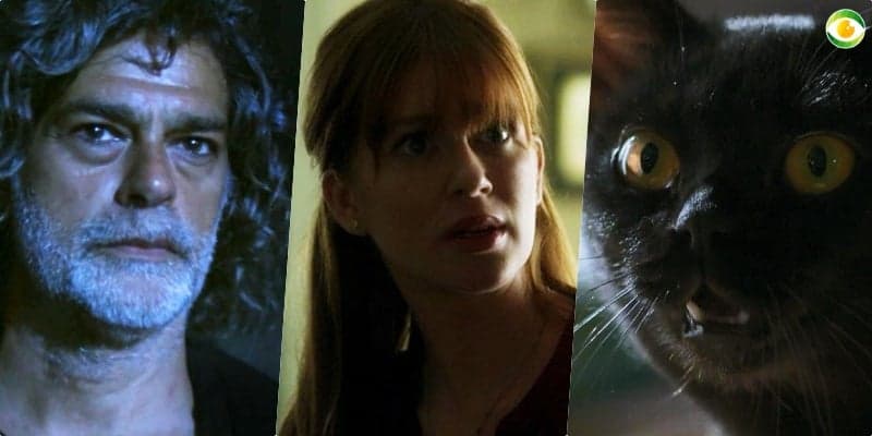 De Luz ET a León com 80 anos: oito mudanças secretas de O Sétimo Guardião