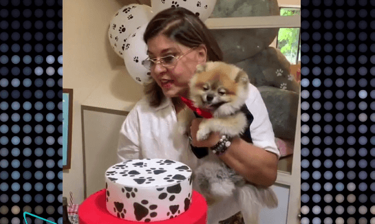 Roberta Miranda faz festa para comemorar aniversário do seu cachorro e rebate críticas