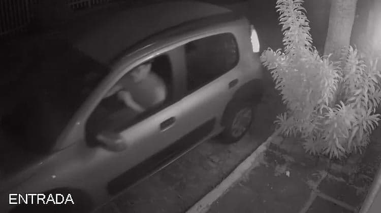 Na imagem, Flavio volta para casa, mas sem os policiais que disse que tinha ido buscar. Imagens de Flávio deixando a casa de Anderson momentos depois do crime. (Imagem: Reprodução/Polícia Civil RJ) Na imagem, Flavio volta para casa, mas sem os policiais que disse que tinha ido buscar. Imagens de Flávio deixando a casa de Anderson momentos depois do crime. (Imagem: Reprodução/Polícia Civil RJ)