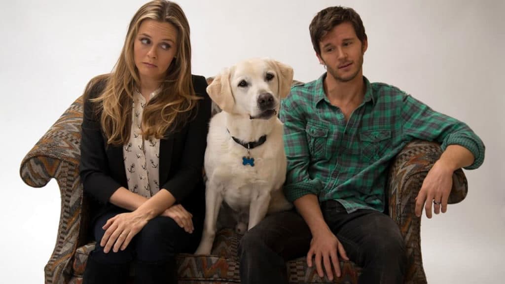 Globo vai exibir o filme Um Cachorro Para Dois na Sessão Da Tarde desta quarta-feira (12)