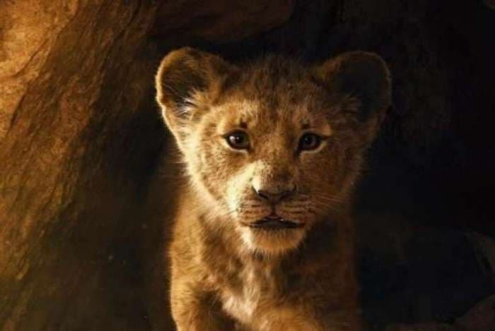 O Rei Leão conquista público e é a maior estreia da semana nos cinemas