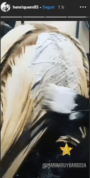 http://tvfoco.uai.com.br/wp-content/uploads/2015/05/Daniela-Mercury.jpg
