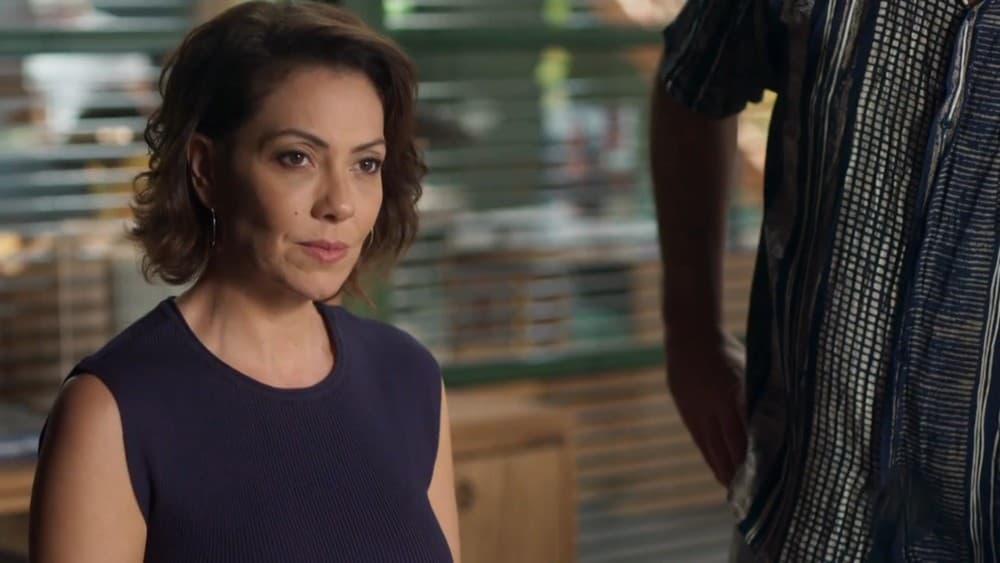 Resumo da novela Bom Sucesso: Capítulos de quarta (4) e quinta (5)