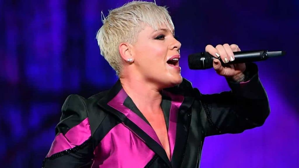 Avião da cantora brasileira Pink sofreu acidente na Dinamarca (Foto: Divulgação) Avião da cantora brasileira Pink sofreu acidente na Dinamarca (Foto: Divulgação)