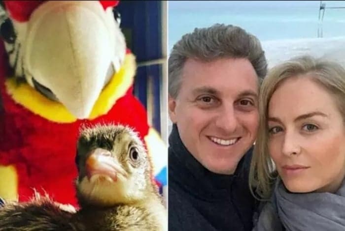 Luciano Huck, Angélica e Pavão - Reprodução da internet Luciano Huck, Angélica e Pavão - Reprodução da internet
