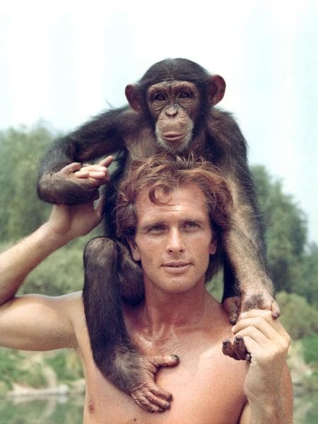 Mulher é morta a facadas na casa do ator Ron Ely que interpretou Tarzan na TV (Imagem: Silver Screen Collection/Getty Images) Mulher é morta a facadas na casa do ator Ron Ely que interpretou Tarzan na TV (Imagem: Silver Screen Collection/Getty Images)