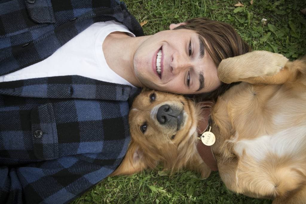 Globo vai exibir filme Quatro Vidas de um Cachorro na Sessão da Tarde (Foto: Reprodução)