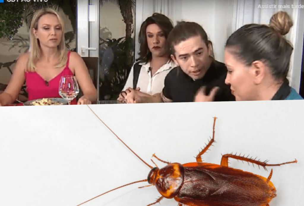 Eliana e Whindersson Nunes engolem na TV sobremesa com farinha de barata e resultado é um só