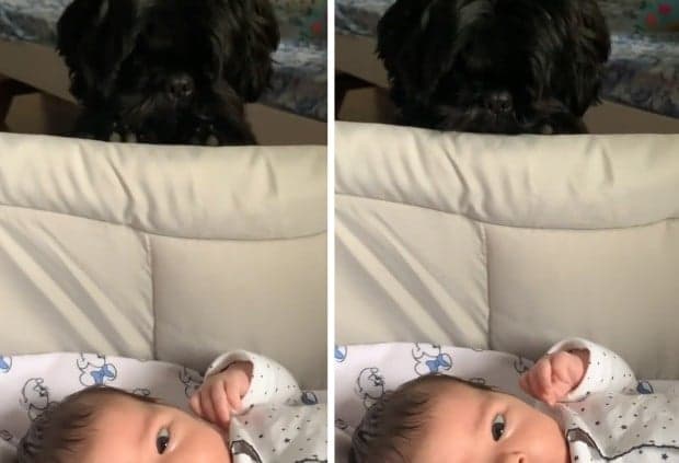 Clara Maria, filha de Rafael Vitti e Tatá Werneck (Foto: Reprodução/Instagram) Clara Maria, filha de Rafael Vitti e Tatá Werneck (Foto: Reprodução/Instagram)
