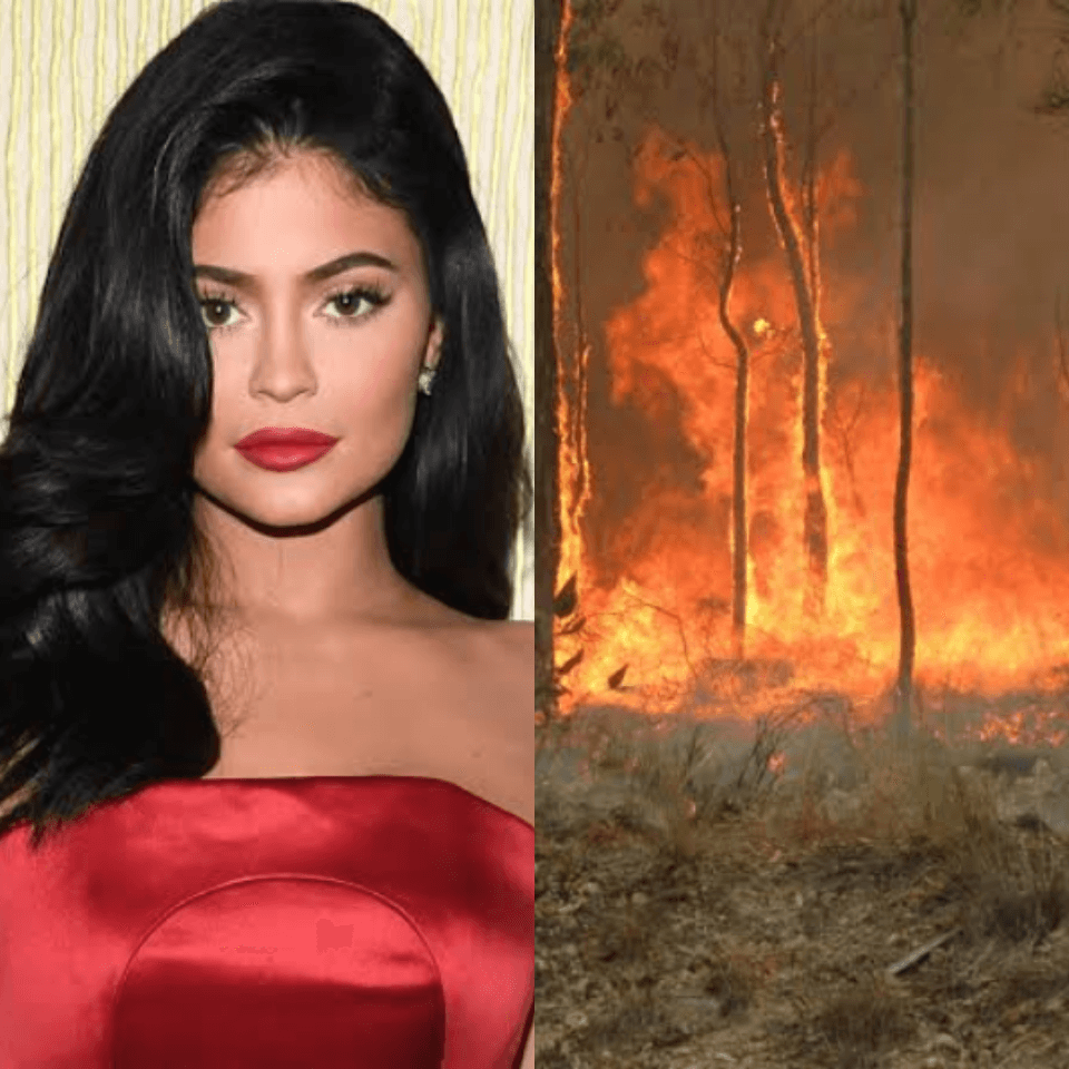 Kylie Jenner doa mais de R$ 4 milhões para ajudar no combate aos incêndios na Austrália após críticas