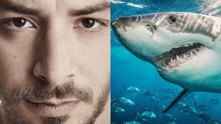 Pânico! Junior Lima fica de frente com tubarão, quase é atacado e imagens são divulgadas