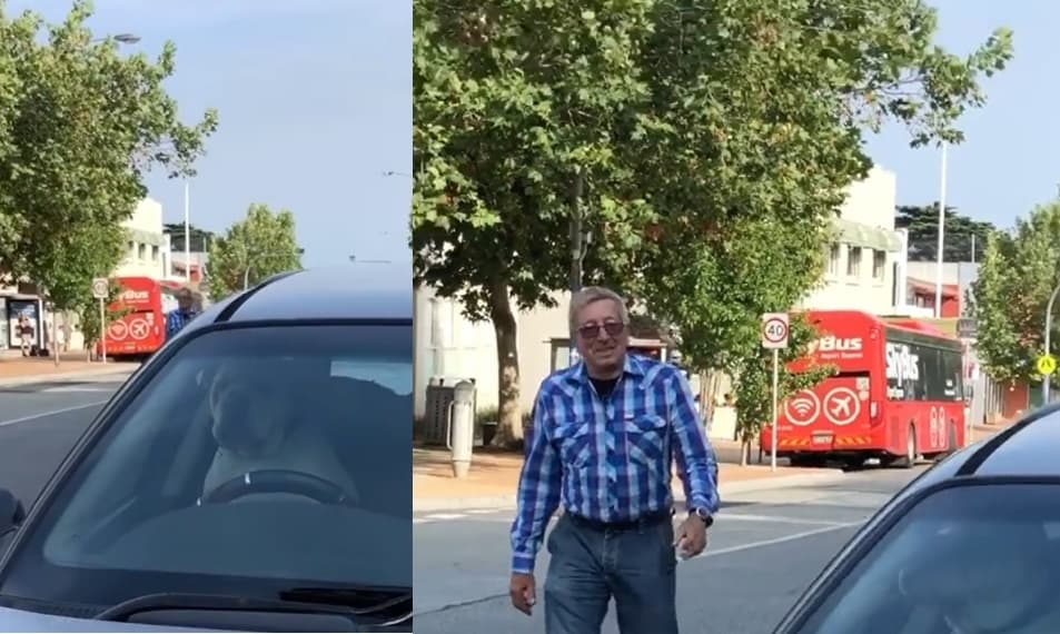 Hilário! Cachorro é abandonado em carro e revoltado buzina até o dono voltar; vídeo