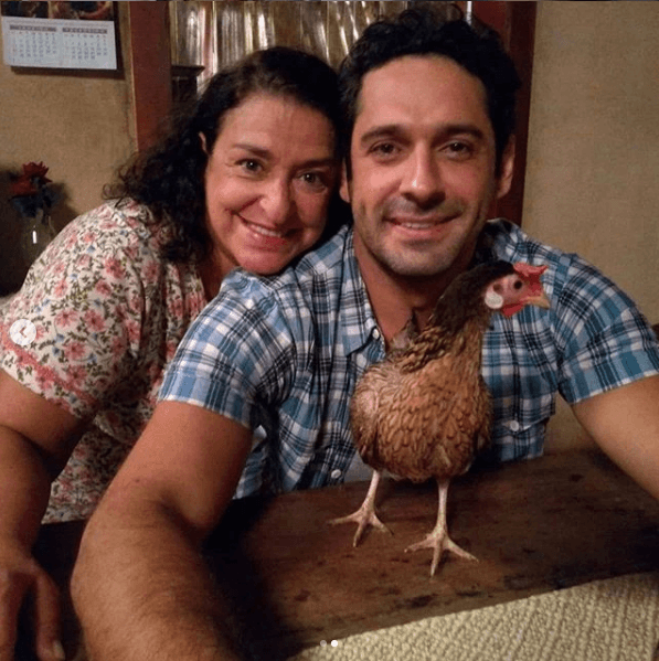 Salve-Se Quem Puder: galinha será destaque na novela e roubará a cena; saiba como será