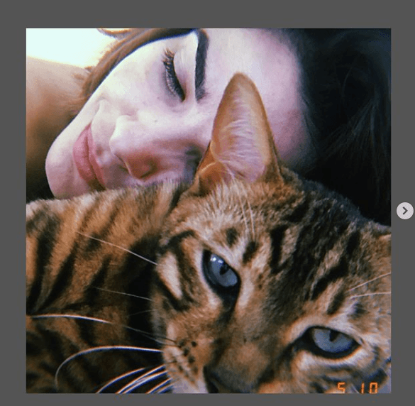 Vanessa Giácomo perdeu gatinho (Foto: Reprodução/ Instagram)