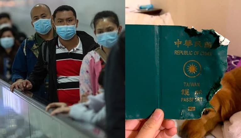 MENSAGEM DIVINA! Mulher se livra de contrair o coronavírus depois que cachorro comeu seu passaporte