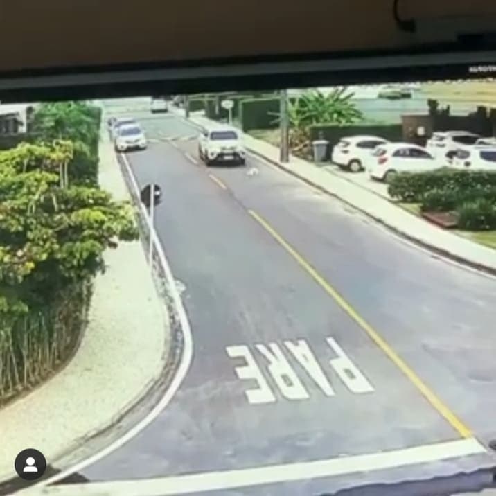 mofi paraíba record