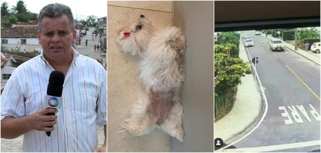 Apresentador da Record atropela e mata cadela e imagens chocantes são vazadas: 'Passou por cima do animal'