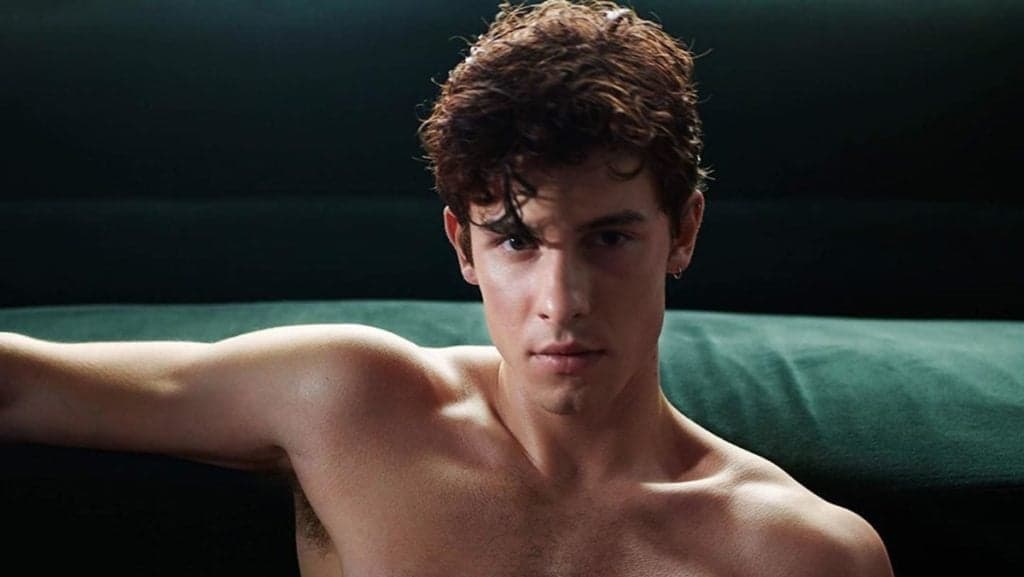 Shawn Mendes é pego no pulo do gato seguindo conta de ator pornô gay e aumenta suspeita dos fãs