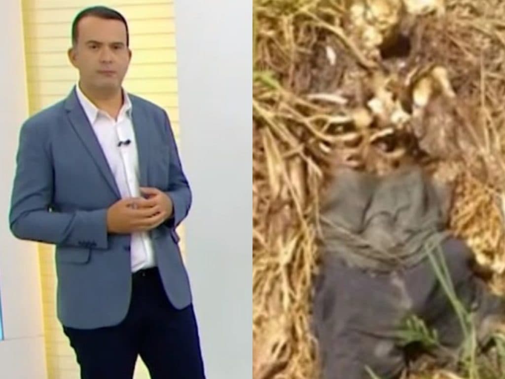 Ao vivo, Jornal da Globo exibe corpo de defunto logo cedo e promove susto em público com cena forte