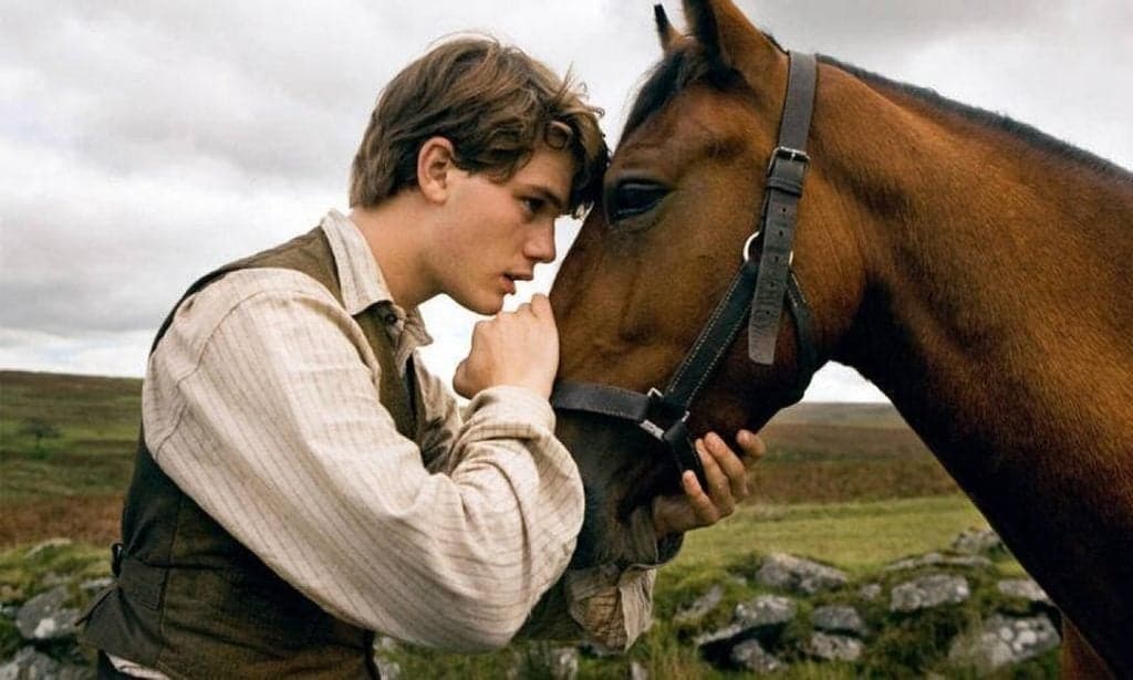 Globo vai exibir o filme Cavalo de Guerra na Sessão da Tarde desta terça-feira (10)