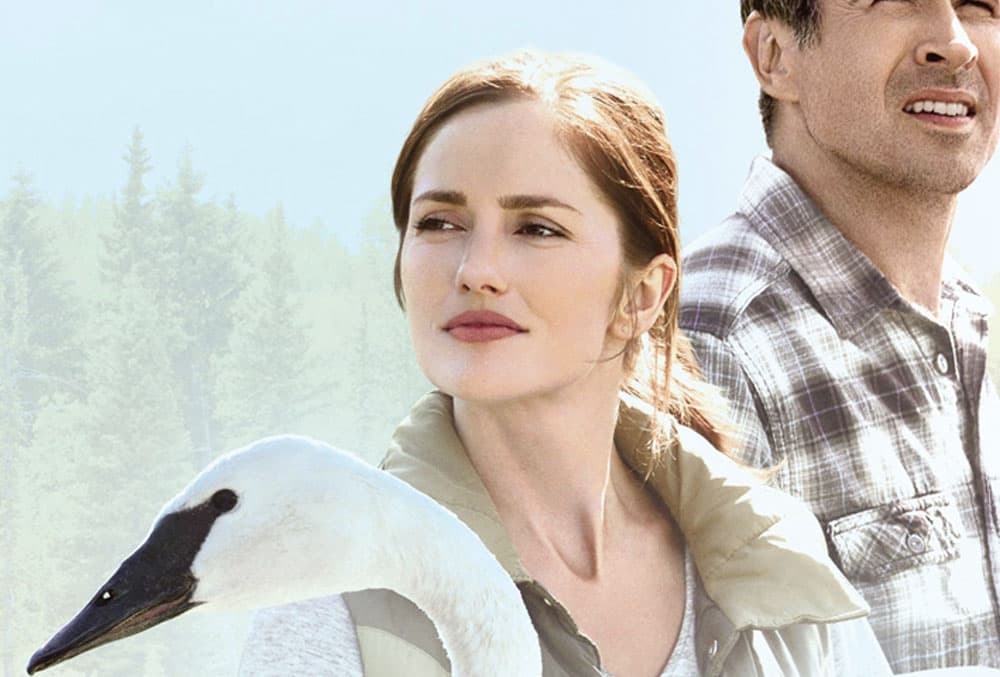 Globo vai exibir o filme Fazenda dos Cisnes na Sessão da Tarde desta terça-feira (24)