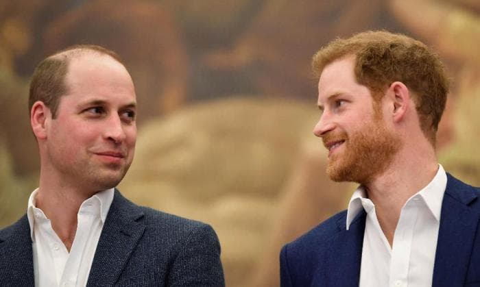 Príncipes Harry e William, após afastamento simultâneo, tem motivo para não se falarem exposto: "aquela garota"