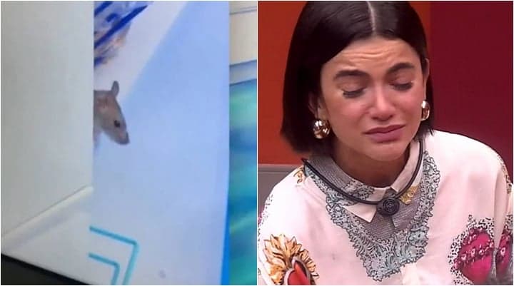 Após invadir cozinha e ganhar fama, rato continua na casa do BBB20